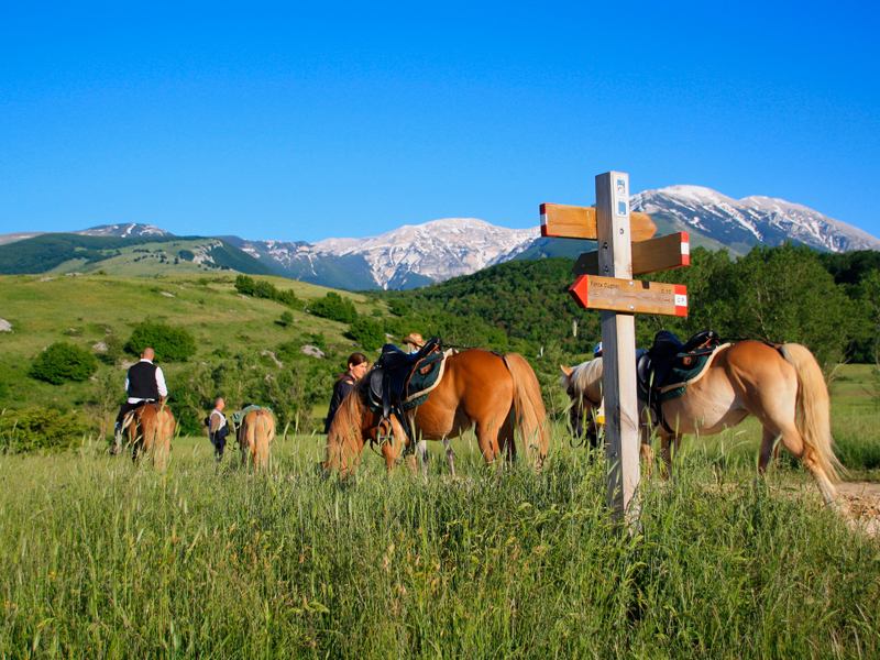 Escursioni a cavallo