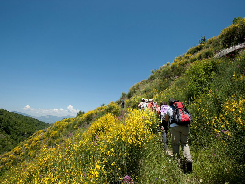 Trekking